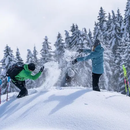 Lägenhet Appartementhaus Kostenzer